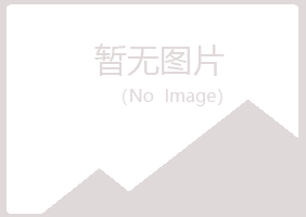 汾阳字迹水泥有限公司